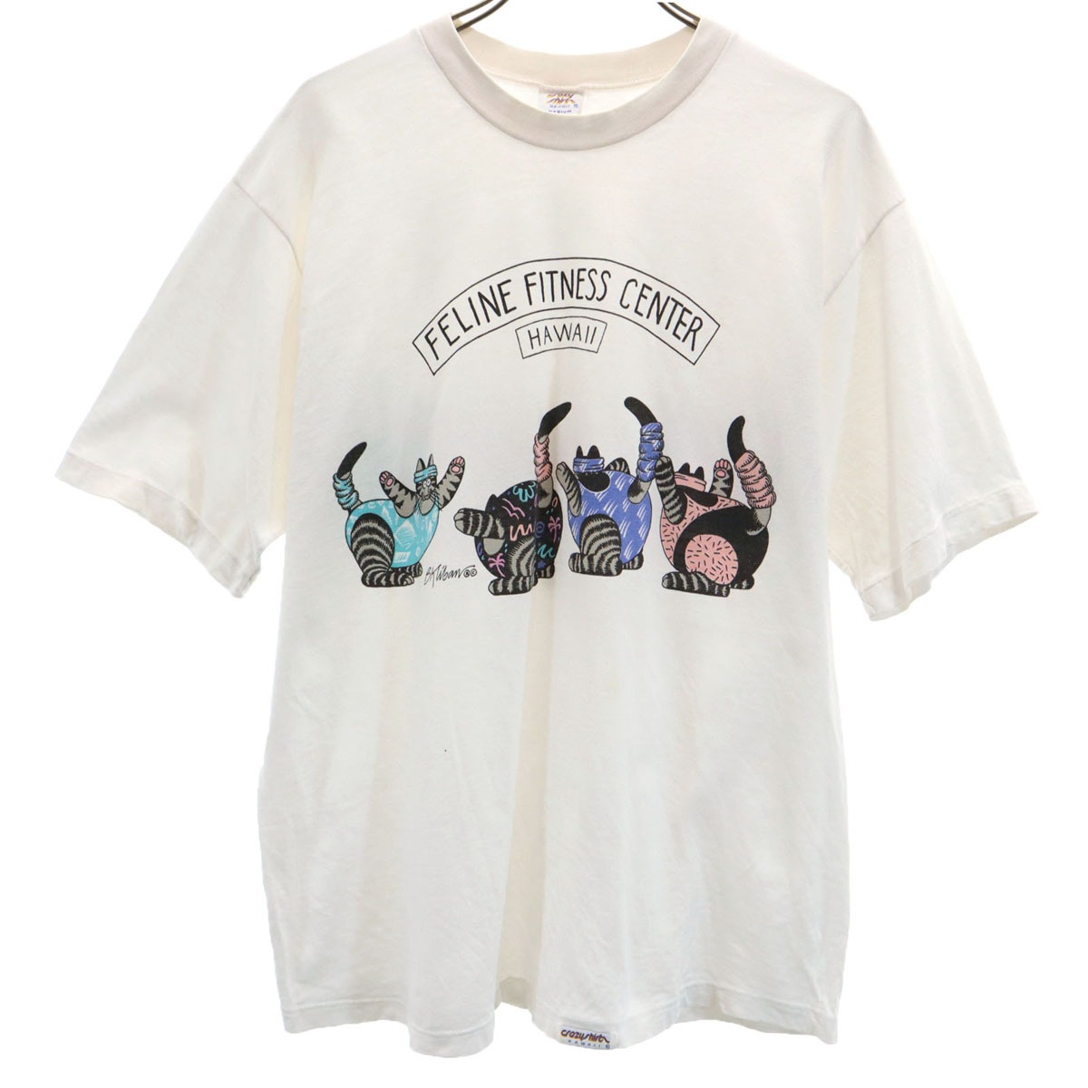 Crazy Shirt クレイジーシャツ 90s USA製 オールド 猫 半袖 Tシャツ M ホワイト系 メンズ 古着