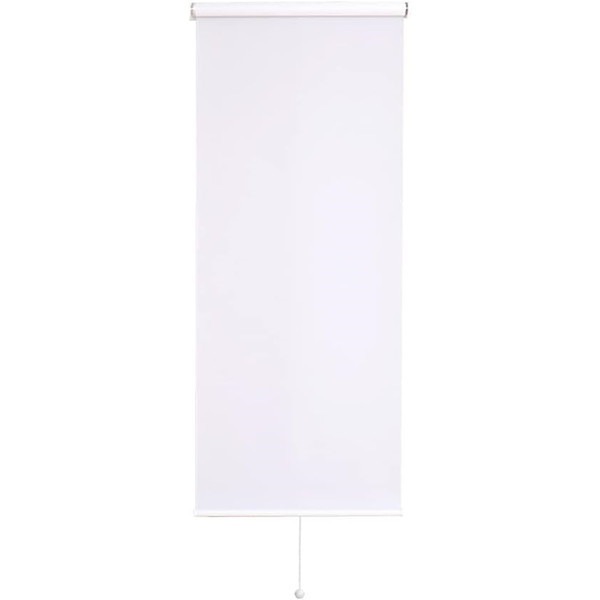 ホームテイスト SH-16-S60 壁空け不要!つっぱりロールスクリーン 幅60cm(遮光タイプ) WH ホワイト メーカー直送