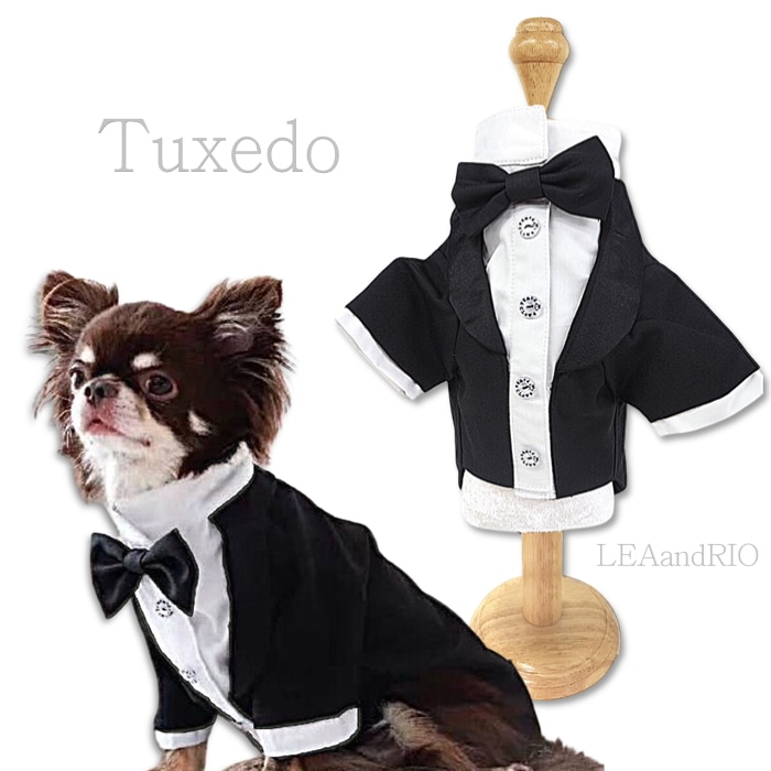 タキシード P843