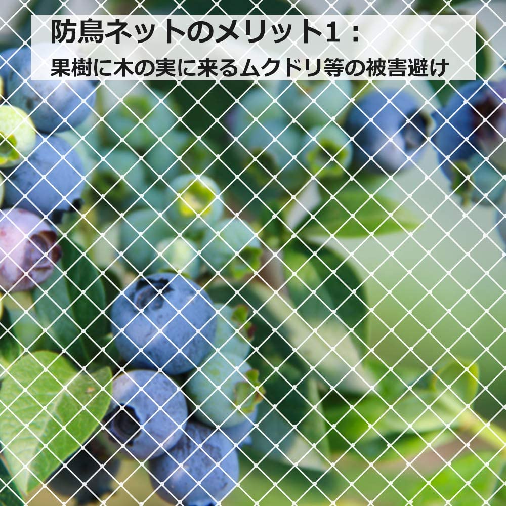 売切必至ベランダ防鳥ネット 2.5×5ｍ 鳥よけネット カラス/鳩 鳥害対策 防鳥防獣網 鳥除け 透明色ネット （結束バンド 15本付き）