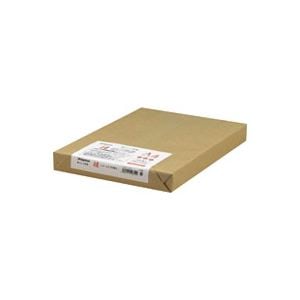 （まとめ）Nagatoya OA和紙 ナ-852 白A4 250枚 楮入奉書(×2セット) 5,971円