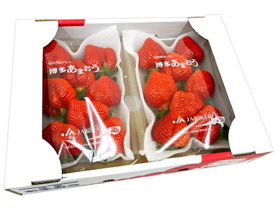 福岡産 博多 ”あまおういちご” 等級G（グランデ） 5箱 10パック