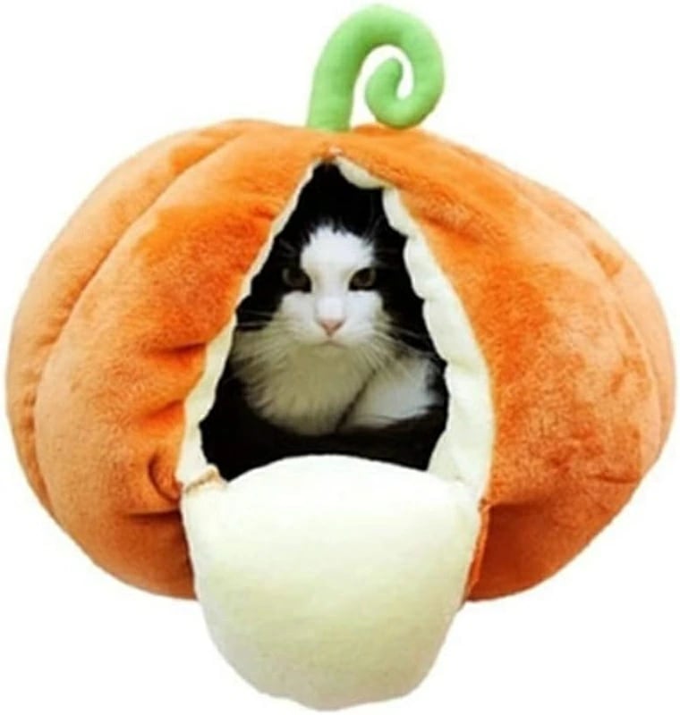 ペットベッド ペットベッド ドーム ハウス 防寒 犬 猫 ねこ カボチャ ネコ 小型犬 M グッズ 冬用 ペット ペット ベッド 冬用 犬 猫 犬 猫 猫用 犬用 ペット