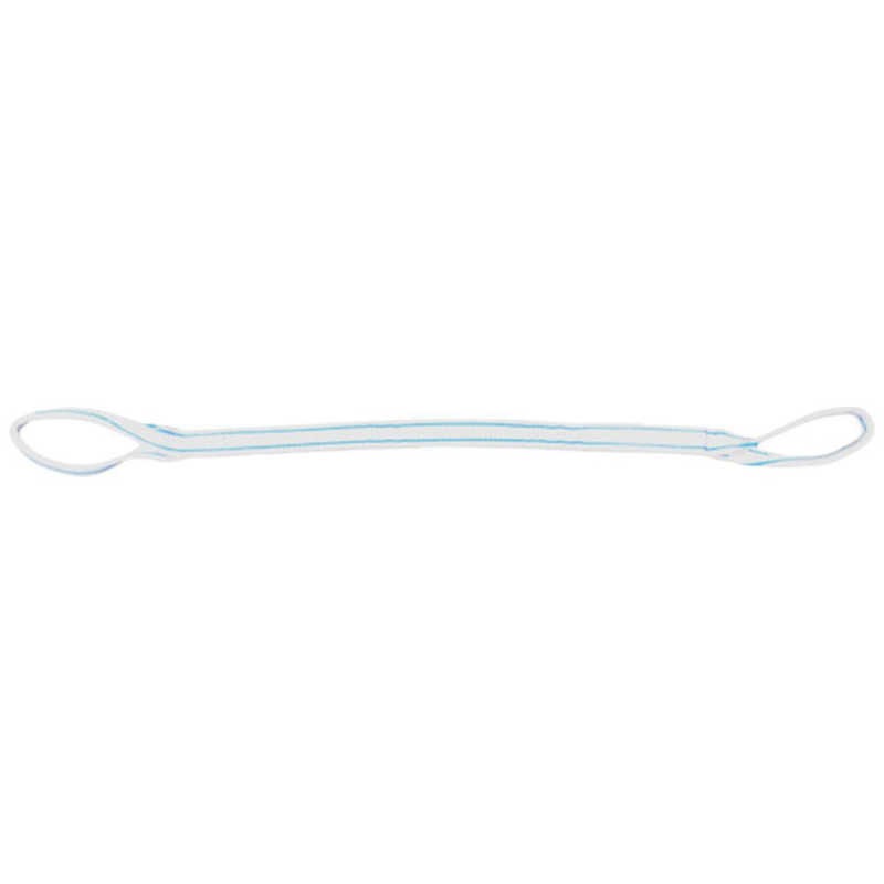 テザック　TESAC 耐化学薬品用スリング(JIS2等級両端アイ形)50mm幅×4m　PP2E50X4