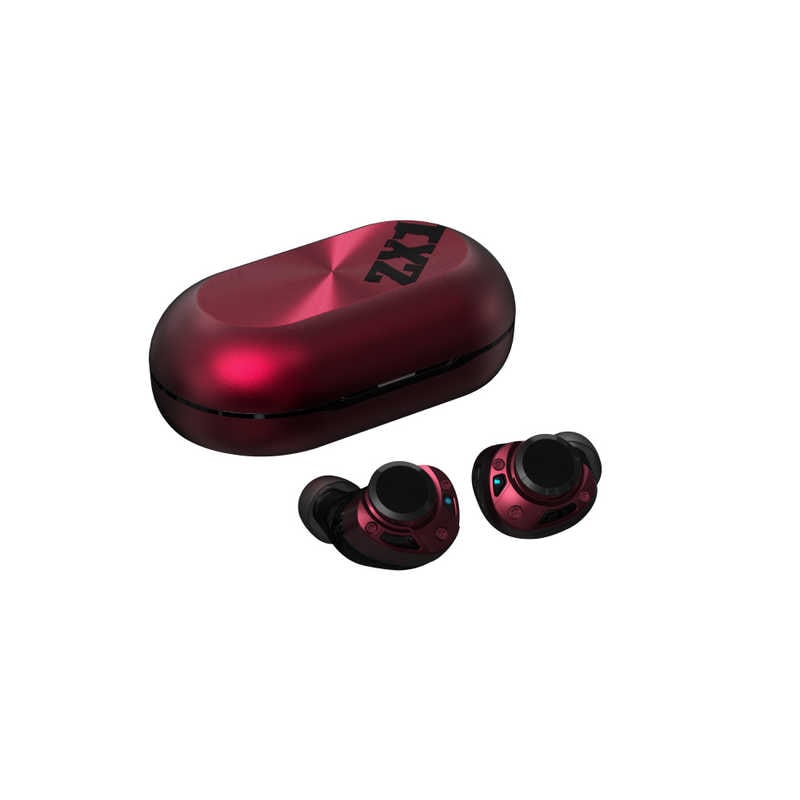 AVIOT　フルワイヤレスイヤホン [ ワイヤレス ( 左右分離 ) / Bluetooth / ノイズキャンセリング 対応 ] 　TE-ZX1