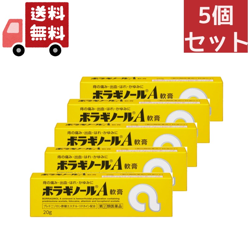 5個セット 【第(2)類医薬品】ボラギノールA軟膏 20g【天藤製薬】【代引不可】