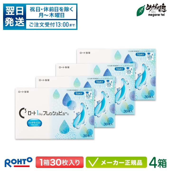 ワンデーフレッシュビュー リッチモイスト 4箱セット 1箱30枚入り 両眼約2ヶ月分 (1日使い捨て コンタクト 1day 高含水率)