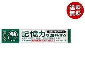 ロッテ 歯につきにくいガム粒 記憶力を維持するタイプ 14粒＊20個入＊(2ケース)