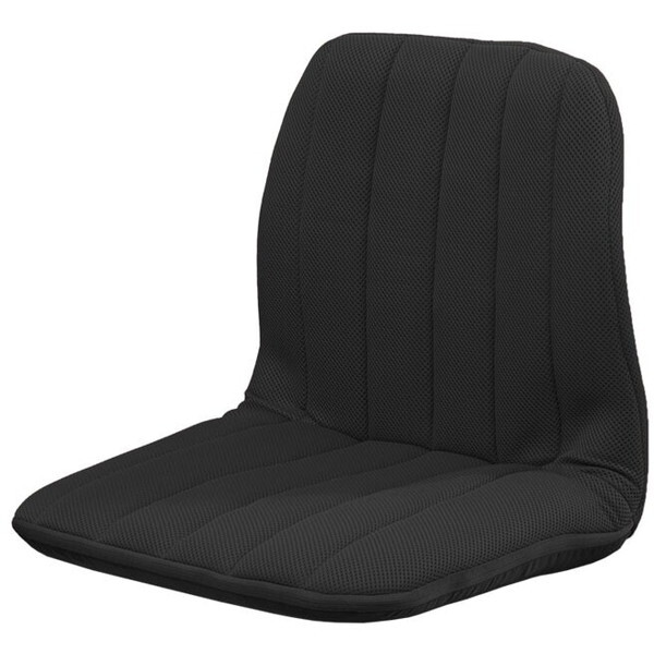 ファミリー・ライフ 背筋サポートリクライニングチェア ブラック(0437620) メーカー直送 5,218円