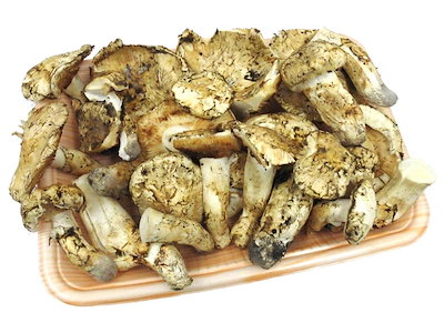 カナダ/北米産 松茸 かなり訳あり 約1kg 原体 大きさ...のサムネイル