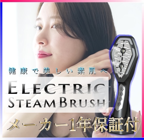 エレクトリックスチームブラシ（EMS 頭皮ケア マッサージ 美顔器 赤青LED マイクロミスト イオン バイブレーション ヘアブラシ リフトアップ 小顔 たるみ）