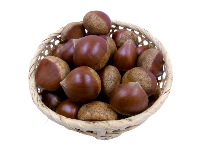 =愛媛県 JAたいき 中山 和栗= 特撰 超大粒3L 約1kg 予約 9月下旬以降