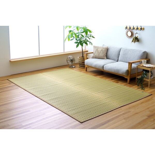 1082090060302 日本 い草 イグサ 自然素材 夏 年間 カーペット ラグ 江戸間3畳 174×261cm ブラウン おすすめ 涼しい メーカー直送