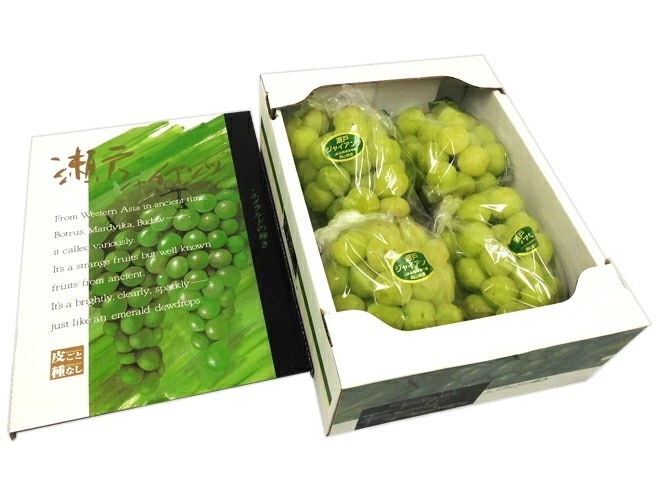 敬老の日ギフト 岡山産 =瀬戸ジャイアンツ= 3-5房 約2kg 産地化粧箱 予約 9月7-15日お届け予定