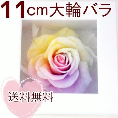 高級プリザーブドフラワーケース入り 大輪バラ　パステルレインボーローズフレームボックス 　お祝い　誕生日結婚祝い　記念品　出産祝い　結婚記念日 　退職祝い　歓送迎会　送別祝い　内祝い　開店祝い