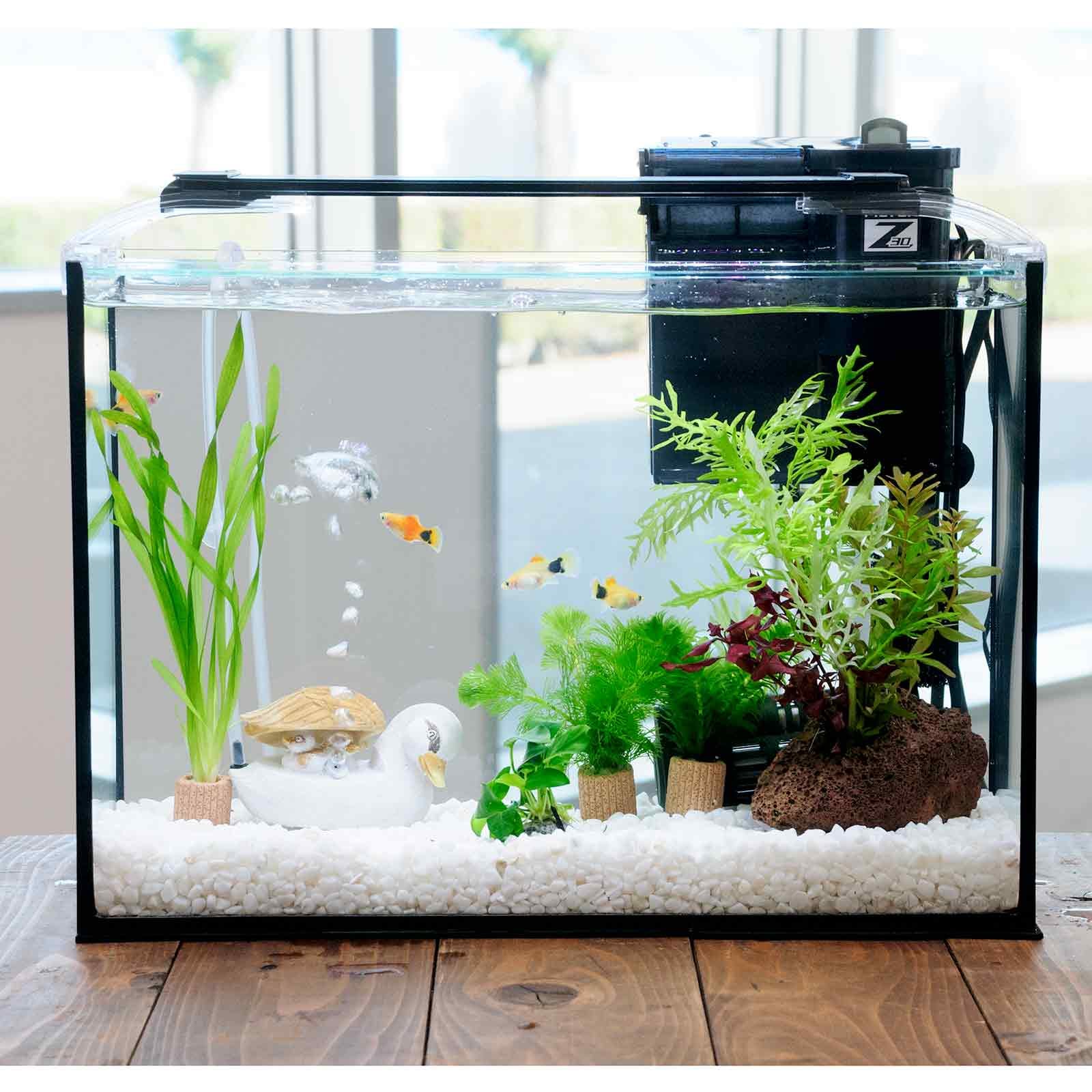 （熱帯魚）（水草）簡単イエローミッキーマウスプラティ飼育水草レイアウトセット　４０ｃｍ水槽　カルガモ親子ｖｅｒ．　本州四国限定　ＣＲＣ10―11―03―30―20