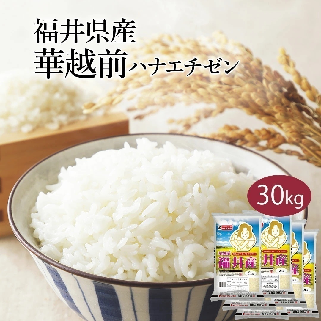 米 精米 福井県産 華越前 ハナエチゼン 30kg 5kg 6セット 令和7年産 お米 こめ 30キロ 安い おこめ 白米 国産 食品 ギフト 引っ越し 内祝い お歳暮 送料無料 おくさま印