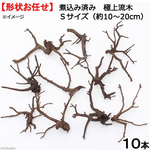 形状お任せ　煮込み済み　極上流木　Ｓサイズ（約１０ー２０ｃｍ）１０本　アクアリウム　テラリウム　レイアウト素材　ＣＲＣ21―10―40―10―00