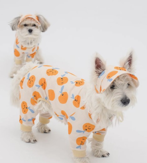 アンチバグ クーリング オールインワン（カンキツ アイボリー）韓国製