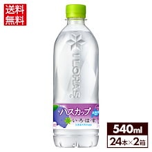 ②採りたて発送♪北海道産✱天然こごみ✱ ドコデミライズ】28／JR新得駅前再整備｜e-kensinニュース