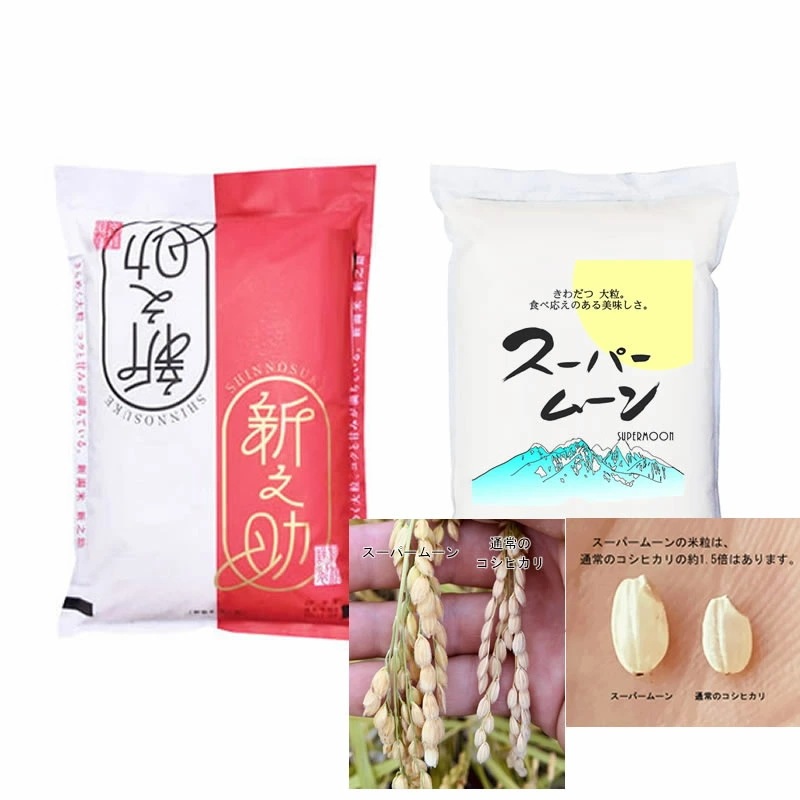 大粒米 対決!! 新之助 対 スーパームーン 各5kg 令和7年産
