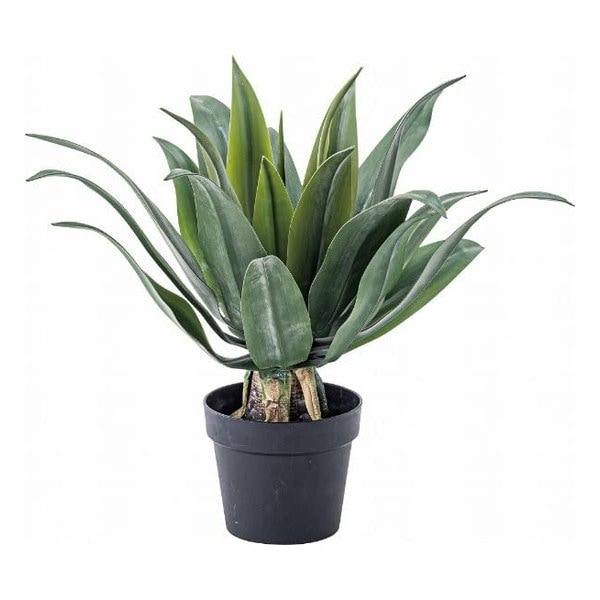 フェイクグリーン アガベ 約W53×D53×H53 GRN-14