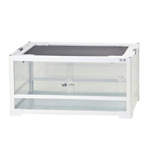 爬虫類ケージ　三晃商会　パンテオン　ホワイト　ＷＨ６０３０　お一人様１点限り　ＣＲＣ17―15―05―60―00