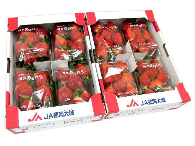 福岡産 博多 =あまおういちご= 訳あり 約270g x4パック x2箱 予約 12月以降