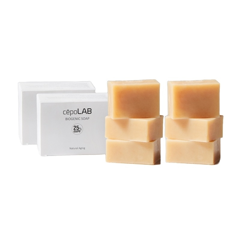 セルラップバイオジェニックソップバリューパックダブル企画セット_バリューパック×2個