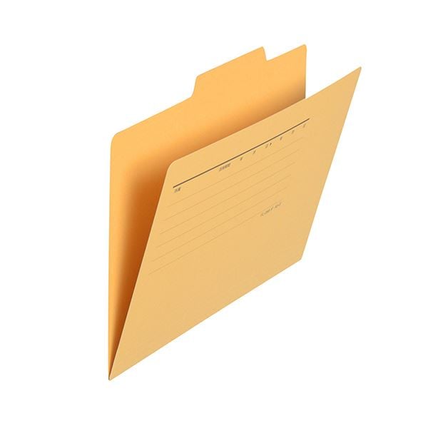 （まとめ） プラス個別フォルダー A5 イエロー FL-066IF 1セット（10冊） (×10セット) 6,915円
