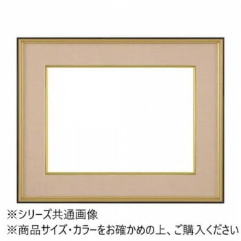 大額 4150 和額 F10 ベージュ UVカットアクリル仕様