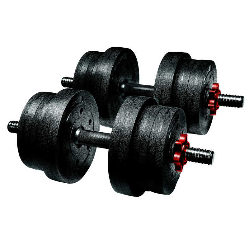 LAVIE　メガダンベルセット 10kg×2個