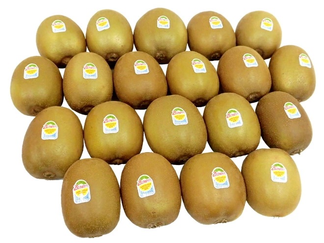 =サンゴールドキウイ= 大玉 20玉 約3kg 予約 4月下旬以降 5,000円