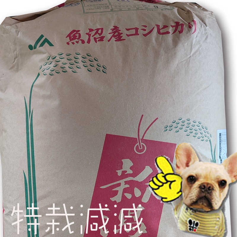 令和6年 新潟 魚沼 津南町産 コシヒカリ 玄米 30kg 精米無料 特栽減減