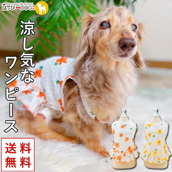 サラダページです　ダックスフンド　犬服　わんこ服 ダックスフンドの服-蜂の衣装-犬の服-ダックスフンドのセーター