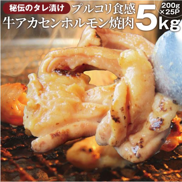 焼肉 牛肉 肉 アカセン ホルモン 5kg(200g×25袋) タレ漬け あかせん ギアラ ぎあら 焼くだけ 焼肉用 BBQ キャンプ