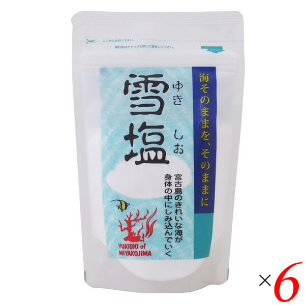 雪塩 パウダータイプ 120g 6個セット