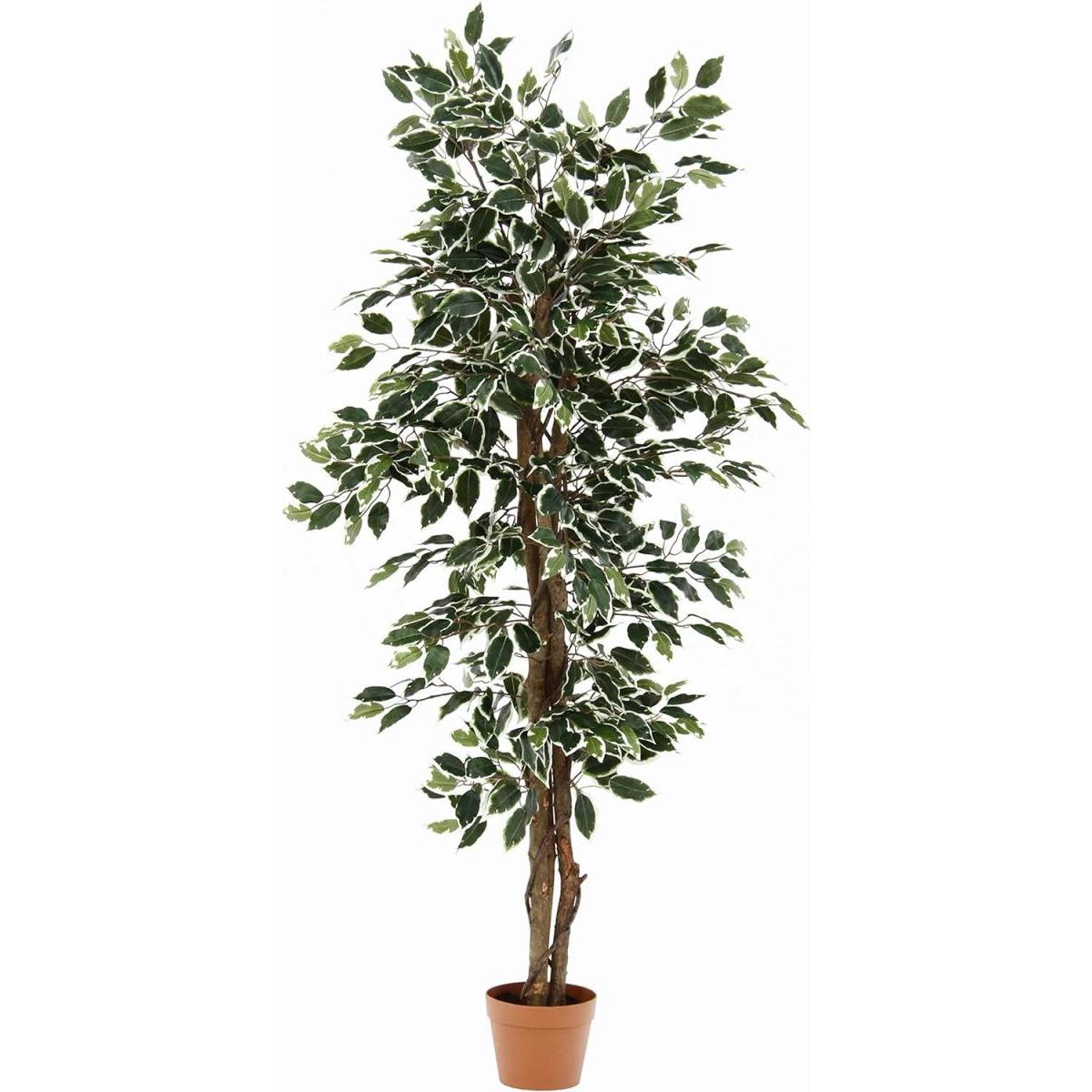 【I】不二貿易 フェイクグリーン インテリアグリーン フィカスB 人工観葉植物 完成品 インテリア 高さ160cm 6号鉢 大型 52663