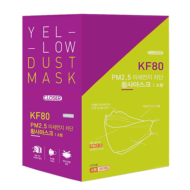 （TF0006）エバーグリーン閉鎖黄砂マスク小型KF80（25個）/子供のマスク/韓国発送
