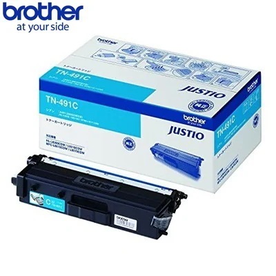 TN-491C [�V�A��]