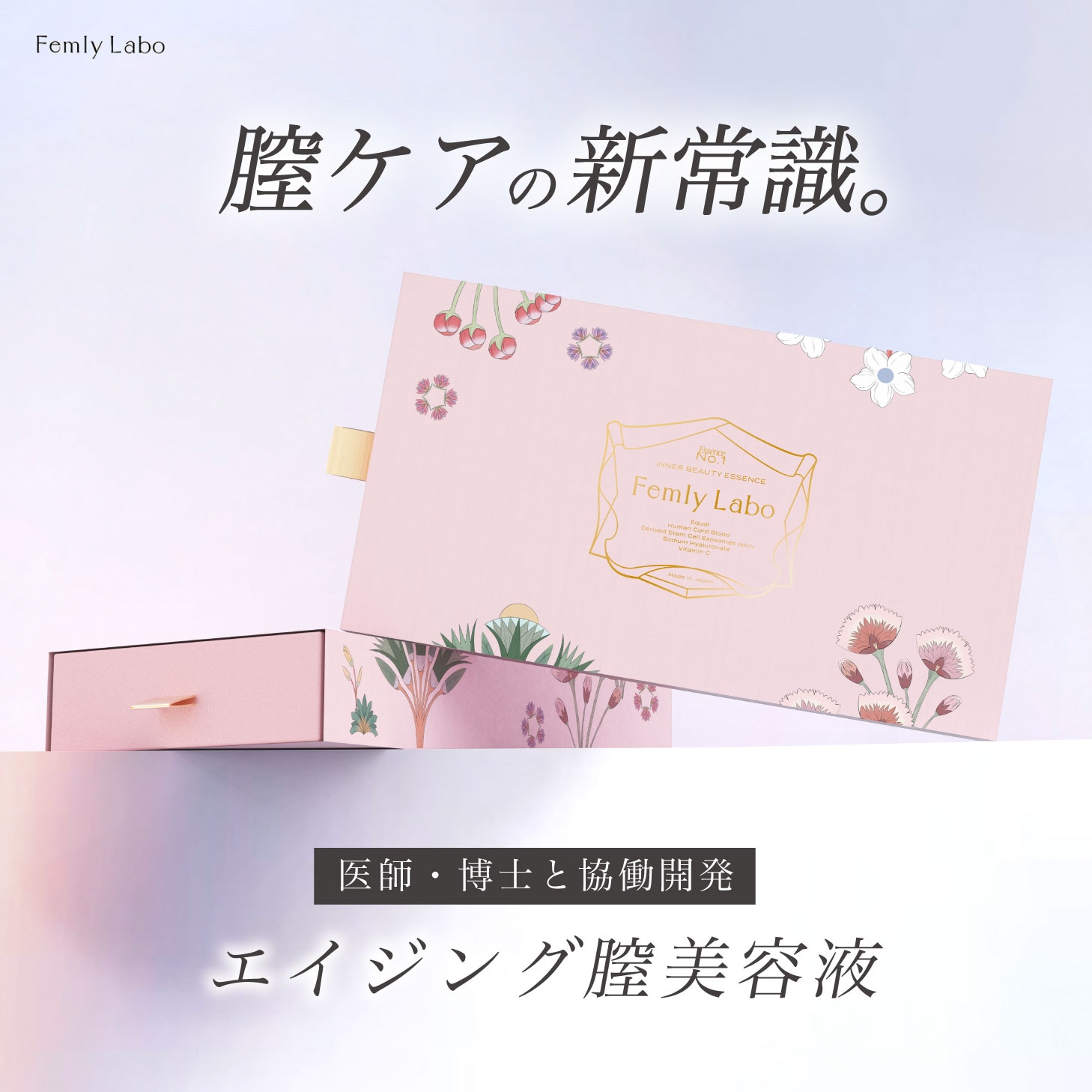 Femly 膣美容液 3本入 膣 膣ケア エイジング フェムケア 更年期 更年期対策 乾燥 ツヤ ハリ 弾力 エクオール NMN 　ヒアルロン酸 コラーゲン ビタミン ビタミン類 若々しく かゆみ 肌