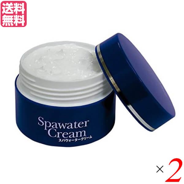 オールインワン クリーム コエンザイムQ10 スパウォータークリーム 80g 不動化学 2個セット