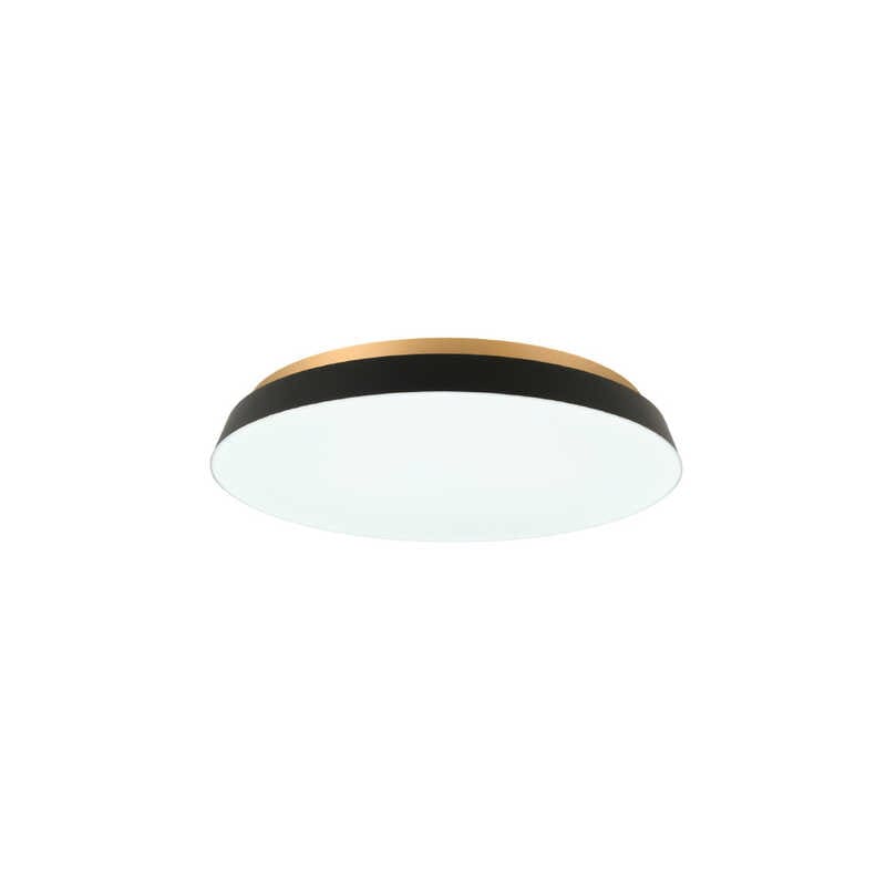 スワン電器　間接光搭載LEDシーリング TAIRA ［10段階調光調色］ ［昼光色～電球色 / リモコン付属］ ブラック　ACE-175BK