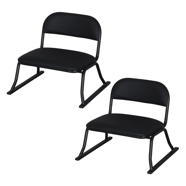 エイ・アイ・エス らくらく座椅子×2脚セット ERCL-700BK×2pcs ブラック メーカー直送