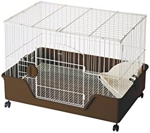 ジェックス ラビんぐ フラットフロア70 ネザーランドドワーフ用