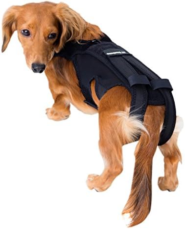 アニフル (anifull) わんコル その他 ブラック 犬 S サイズ