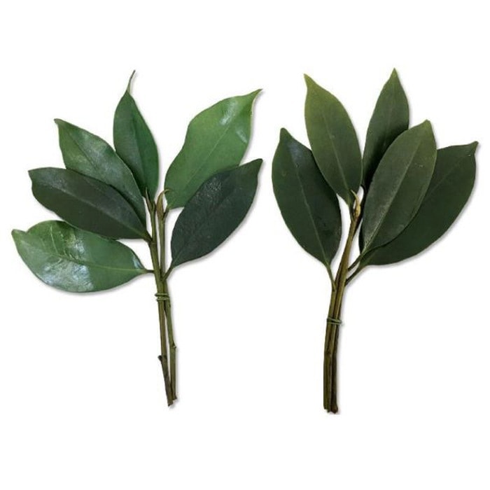 神具 プリザーブド榊 ミニ（1対） S-4993896203906