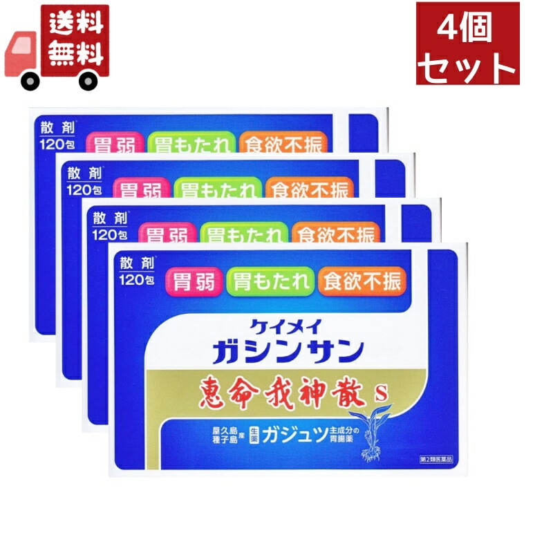 4個セット【第2類医薬品】恵命我神散散剤３Ｇ１２０包2個セット　胃腸薬　食欲不振　胃部腹部膨満感　消化不良　胃弱　食べ過ぎ　飲み過ぎ　胸やけ　胃もたれ　胸つかえ　はきけ