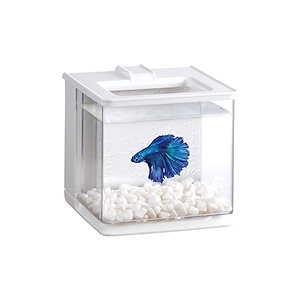 ジェックス GEX AQUARIUM 楽アクア ホワイト 水換え簡単コンパクト水槽ベタ飼育W16D17H16cm 約2.1L