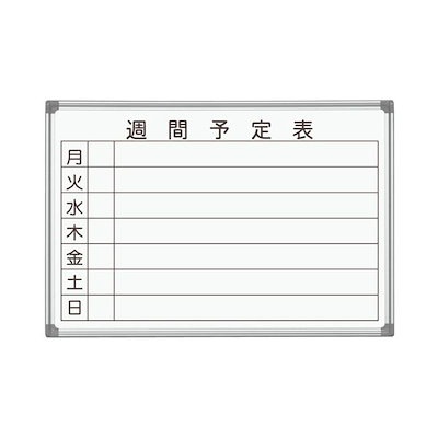 渚カヲル フィギュア クリア レジンキット エヴァ ワンフェス 海洋堂